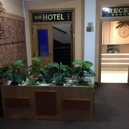 Hotel Piast 3*