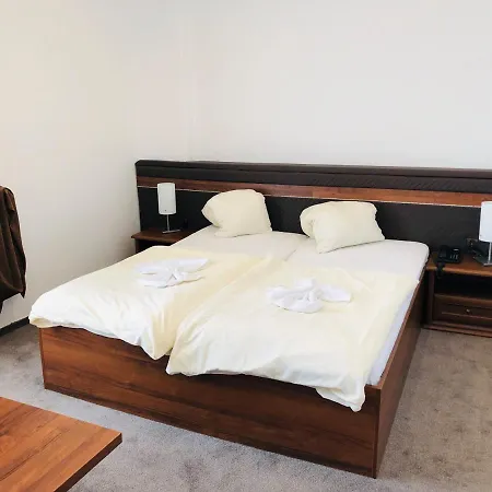 Piast Hotel 3*